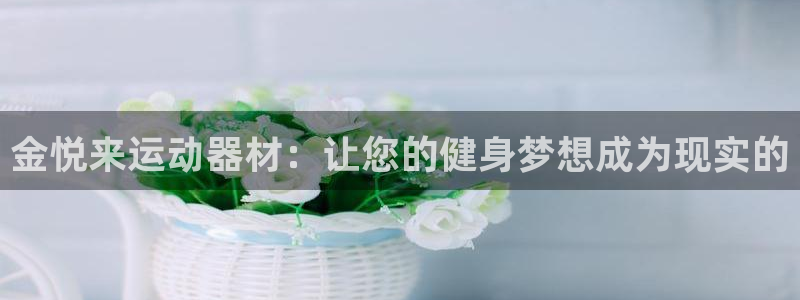 好博体育官方正版app集团简介：金悦来运动器材：让您的健身梦