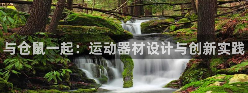 好博体育官方正版app集团官网首页网址：与仓鼠一起：运动器材