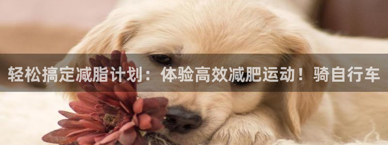 好博体育官方正版app官方：轻松搞定减脂计划：体验高效减肥运