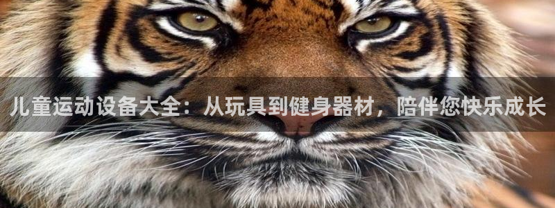 好博体育官网下载招商电话号码查询：儿童运动设备大全：从玩具到